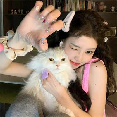 猎豹行动